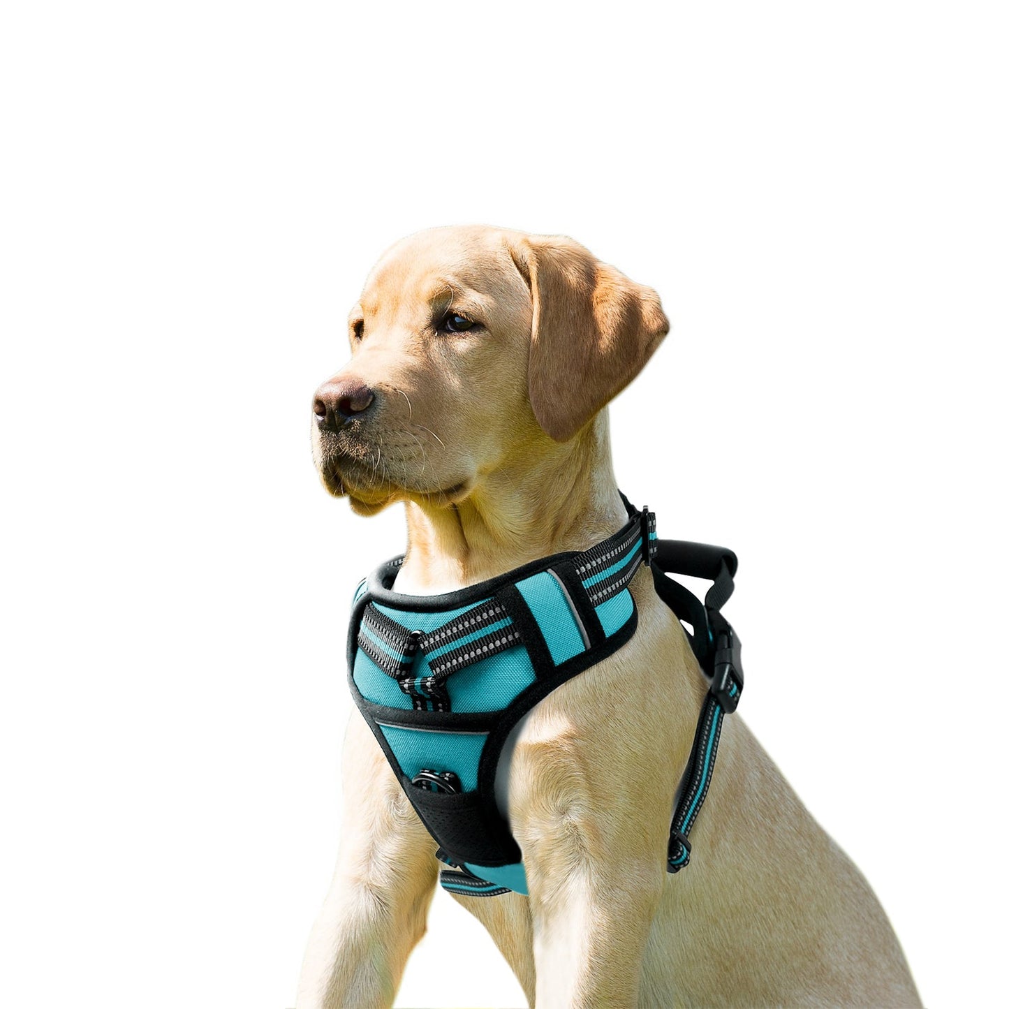 GOOPAWS Padded Reflective Pet Dog Harness, Lightweight Ripstop - Pup List