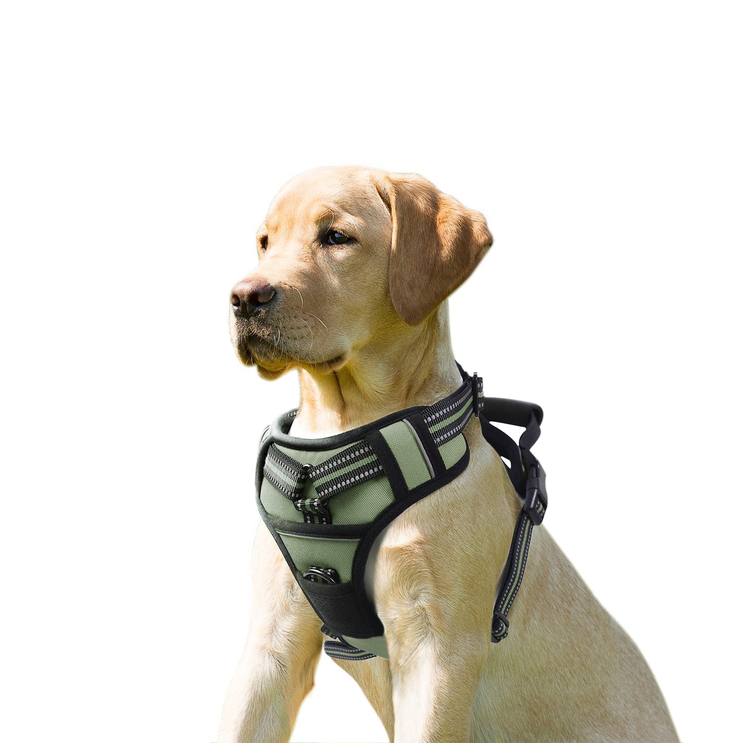 GOOPAWS Padded Reflective Pet Dog Harness, Lightweight Ripstop - Pup List