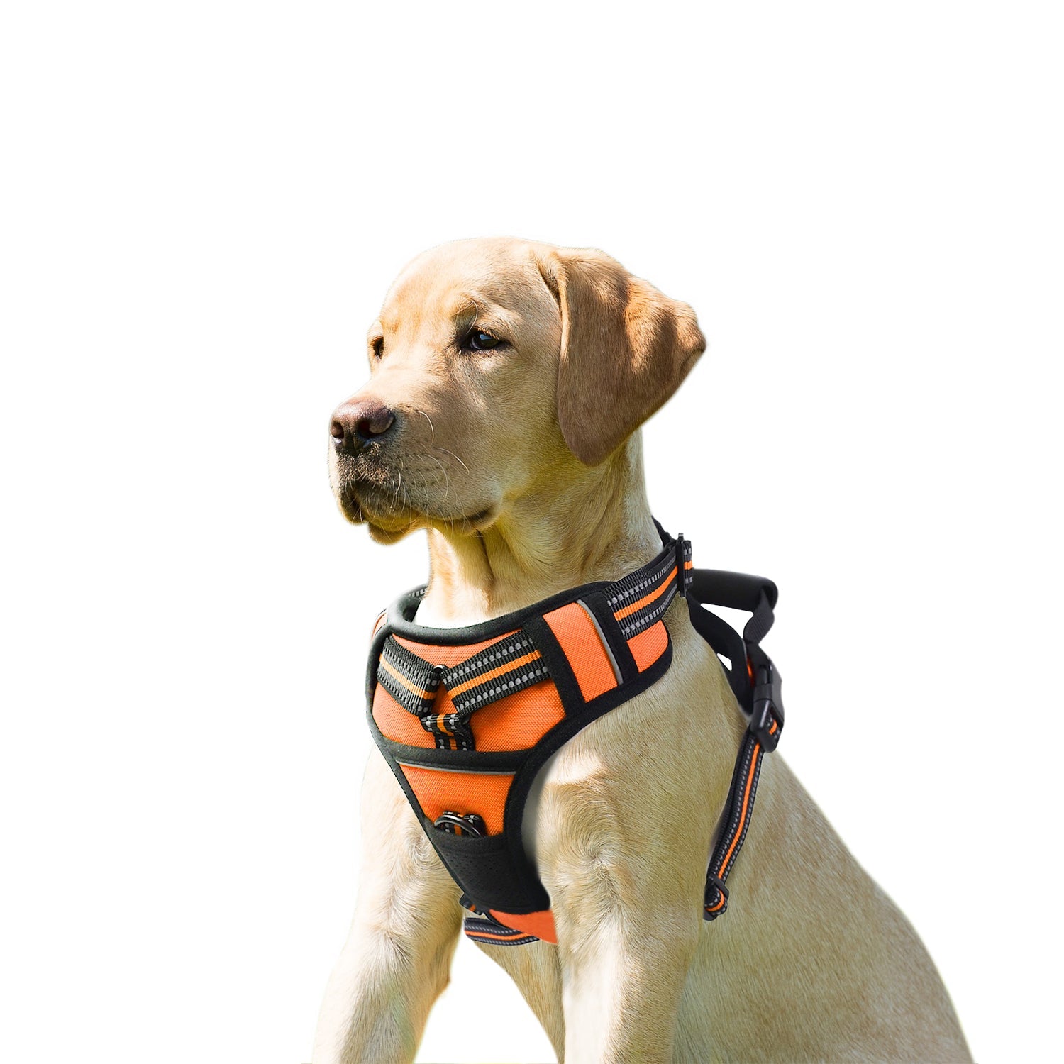 GOOPAWS Padded Reflective Pet Dog Harness, Lightweight Ripstop - Pup List