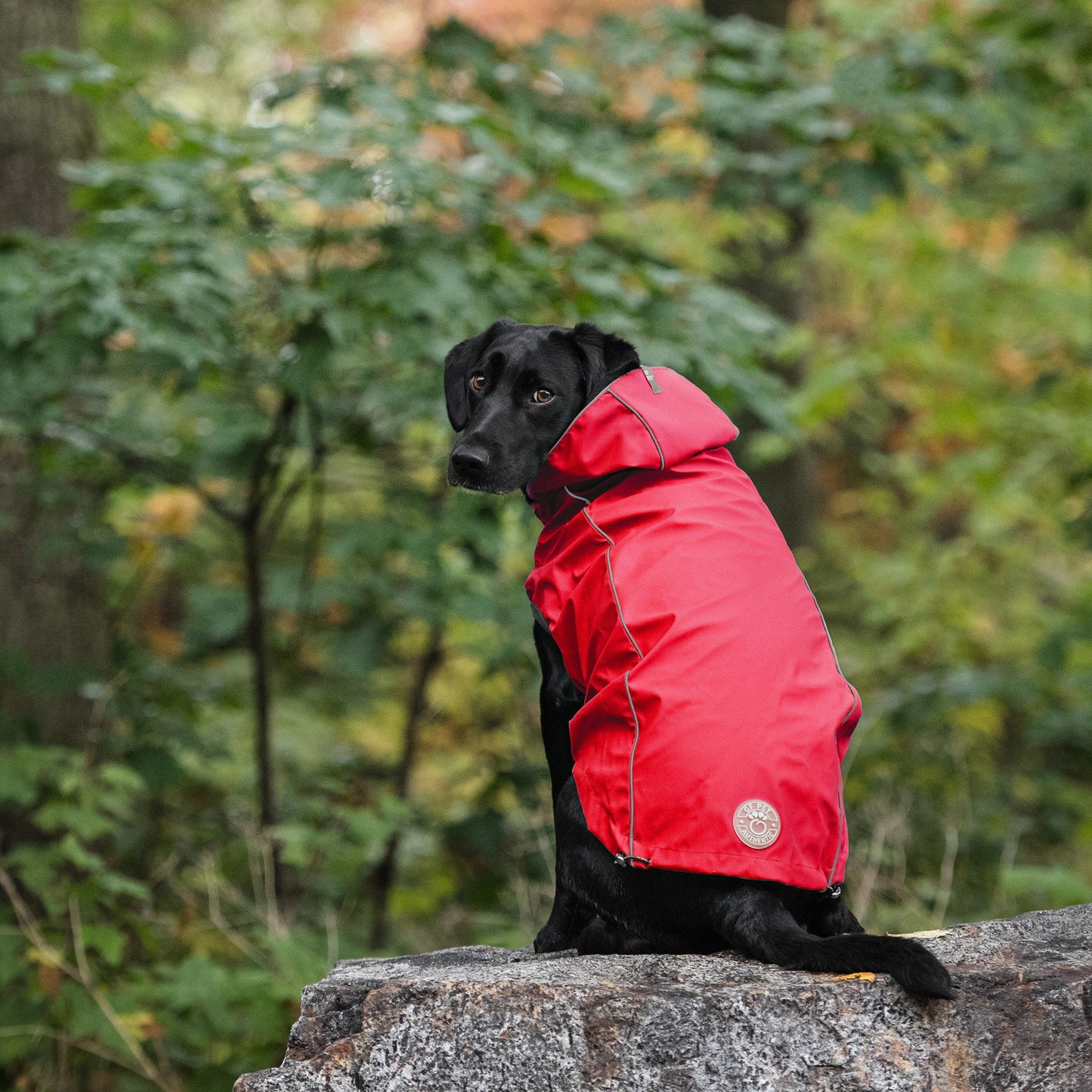 Reversible Elasto-Fit Raincoat - Red