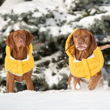 Arctic Parka - Yellow