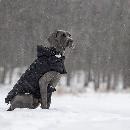 Cloud Parka