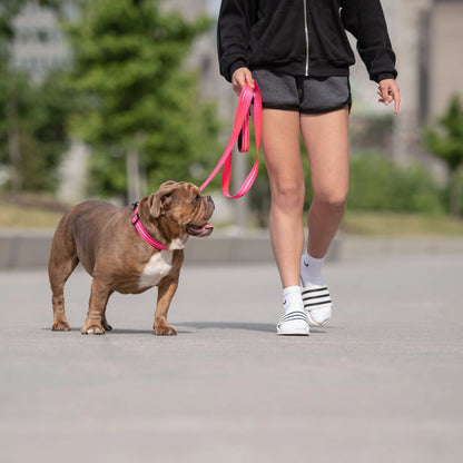 Reflective Leash - Neon Pink