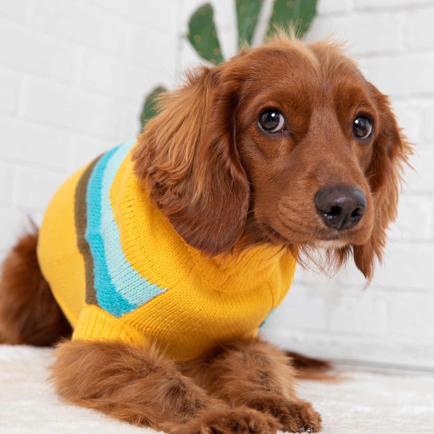 Alpine Sweater - Yellow