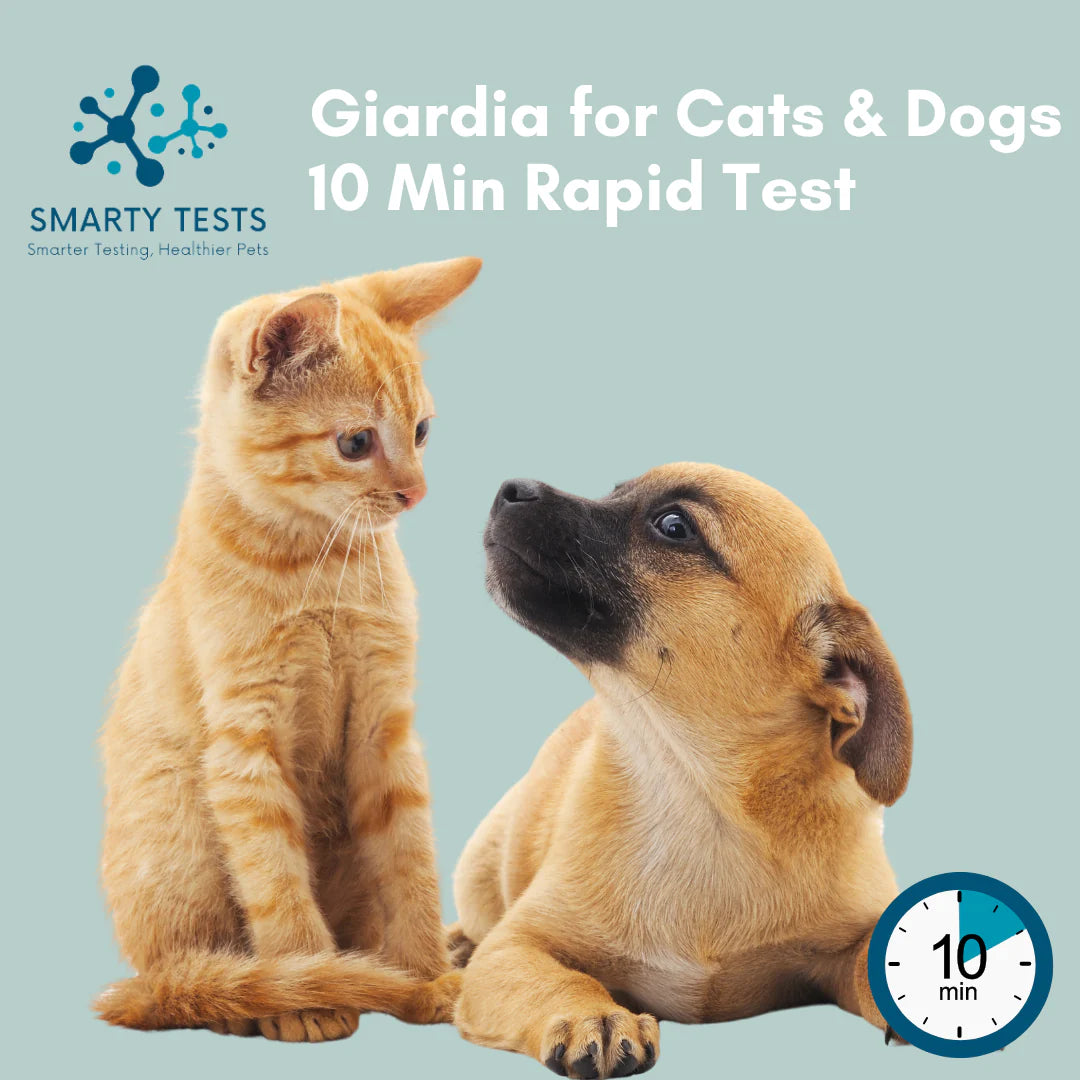 Giardia 10-Minute Rapid Test for Cats & Dogs