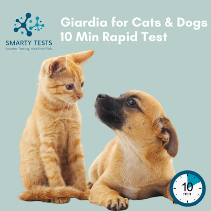 Giardia 10-Minute Rapid Test for Cats & Dogs