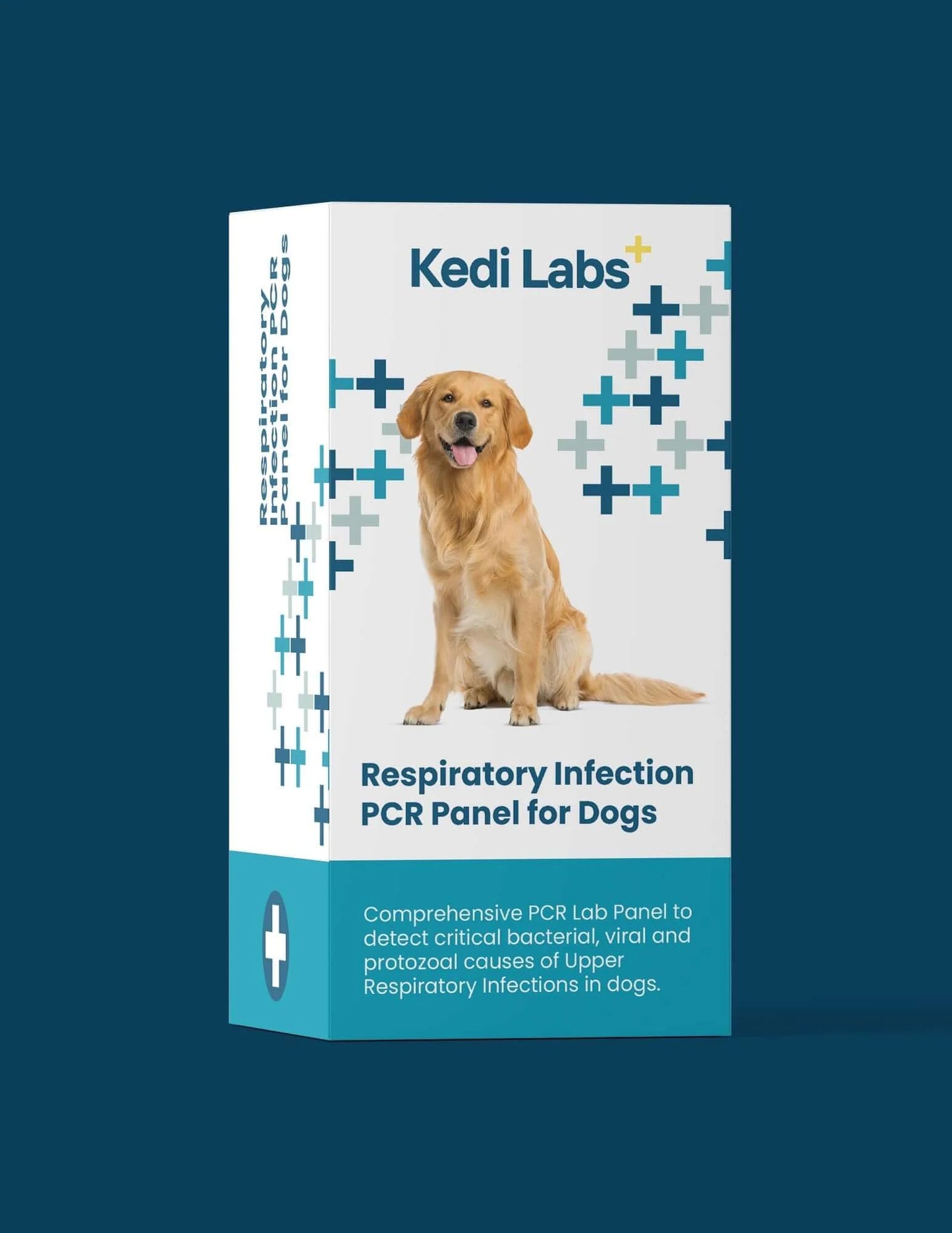 Respiratory Infection PCR Test for Dogs