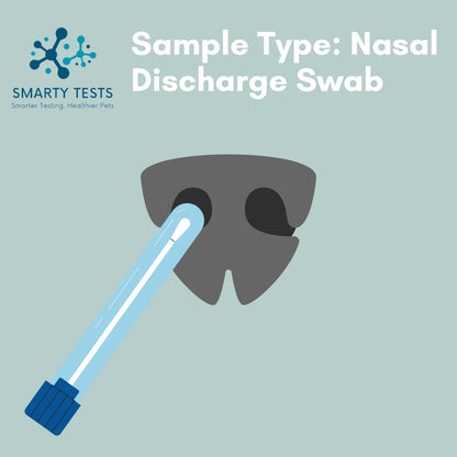 Respiratory Infection Screen for Dogs 10-Minute Rapid Test (Dog Coughing Test)