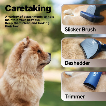 ONE Premium Grooming Kit: Vacuum, Clippers & Brush for Shedding