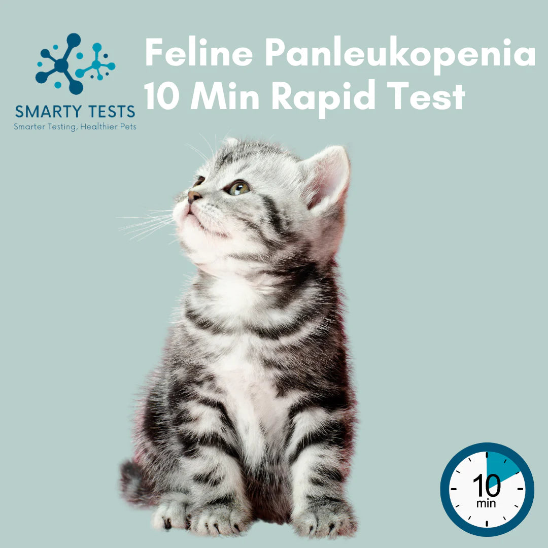 Feline Panleukopenia 10 Minute Rapid Test