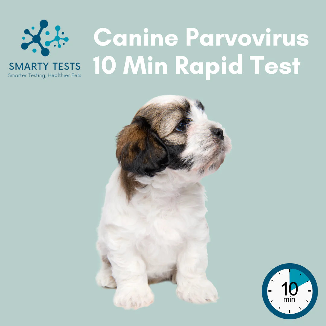 Canine Parvovirus (Parvo) 10-Minute Rapid Test