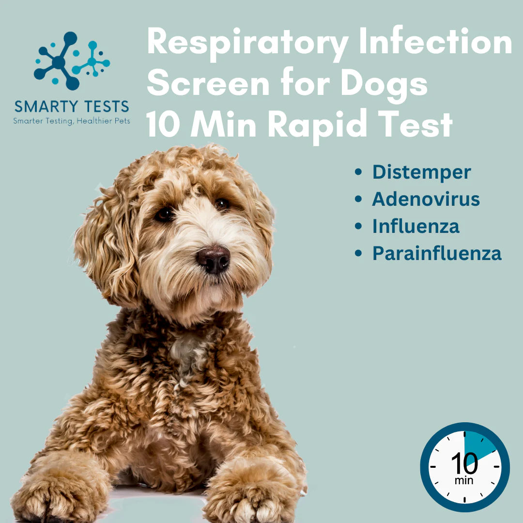 Respiratory Infection Screen for Dogs 10-Minute Rapid Test (Dog Coughing Test)