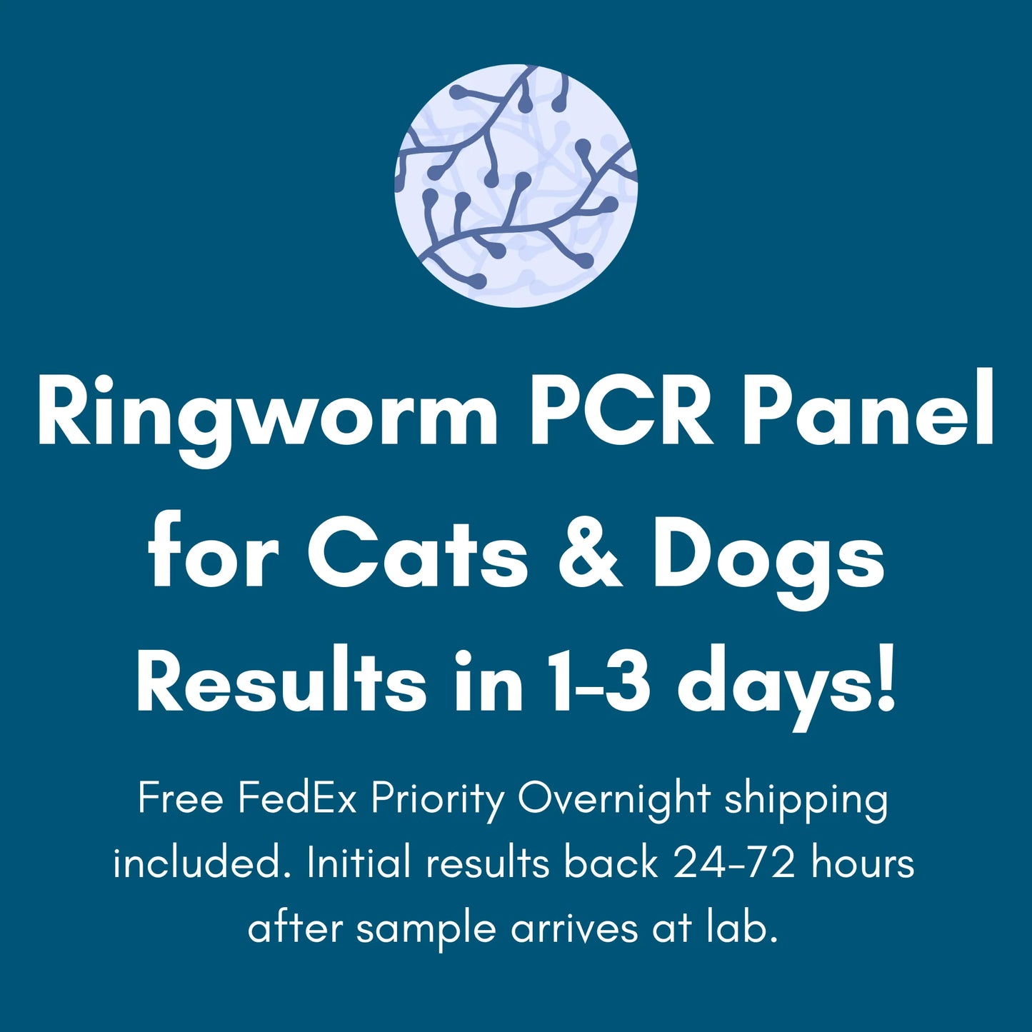 Ringworm PCR Test for Dogs & Cats