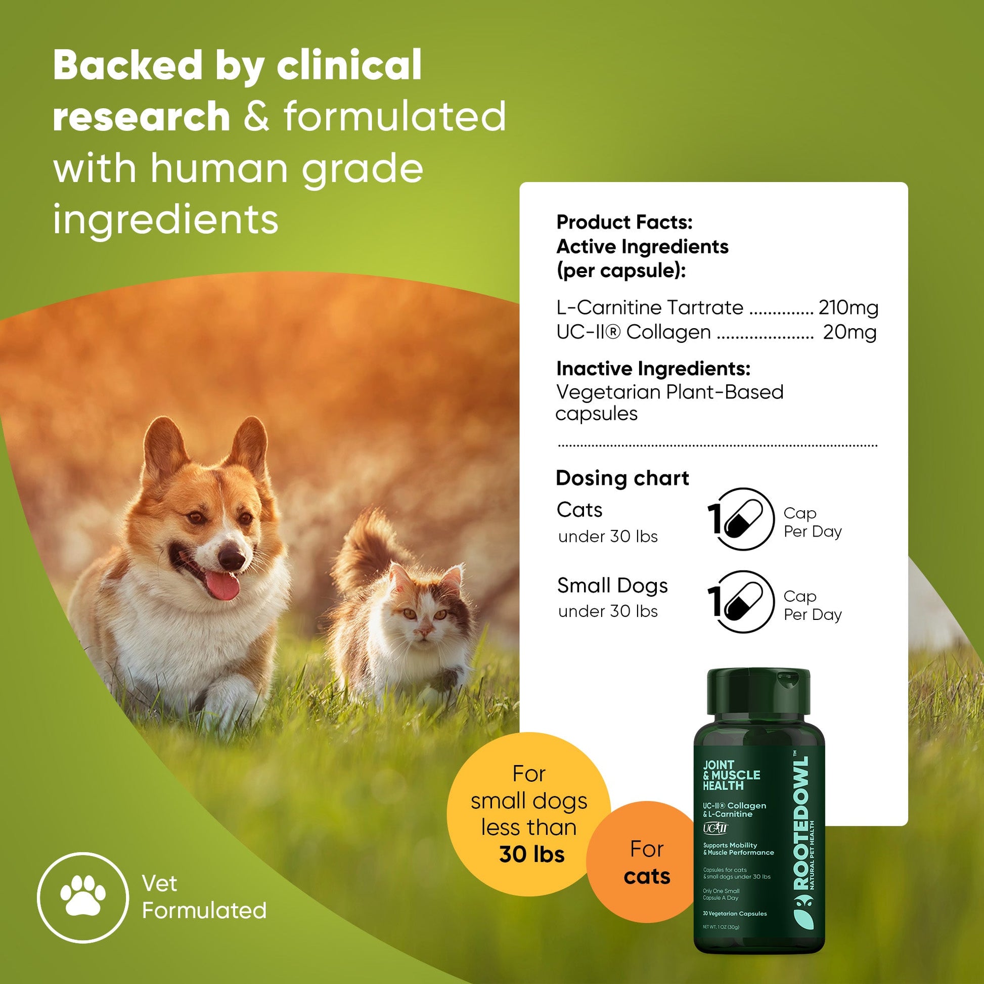 Joint & Muscle Health (Cats & Small Dogs) - Pup List