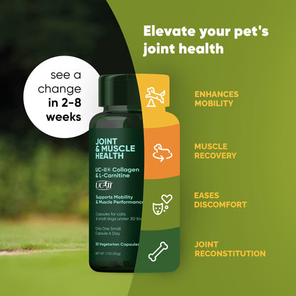 Joint & Muscle Health (Cats & Small Dogs) - Pup List