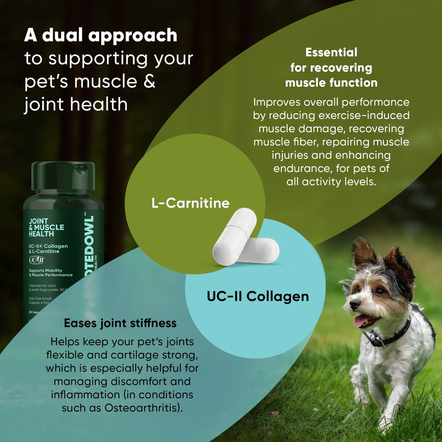 Joint & Muscle Health (Cats & Small Dogs) - Pup List