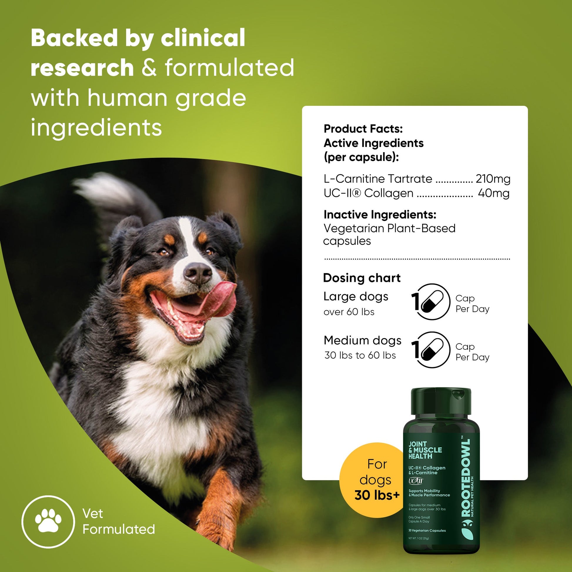 Joint & Muscle Health (Medium & Large Dogs) - Pup List