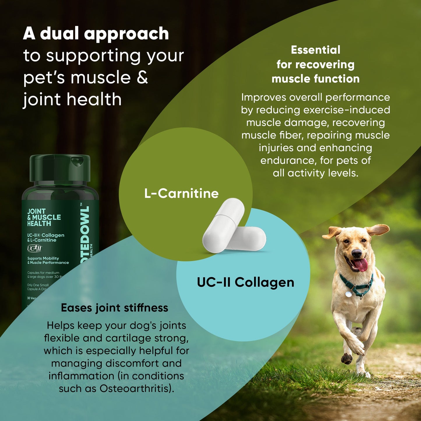 Joint & Muscle Health (Medium & Large Dogs) - Pup List