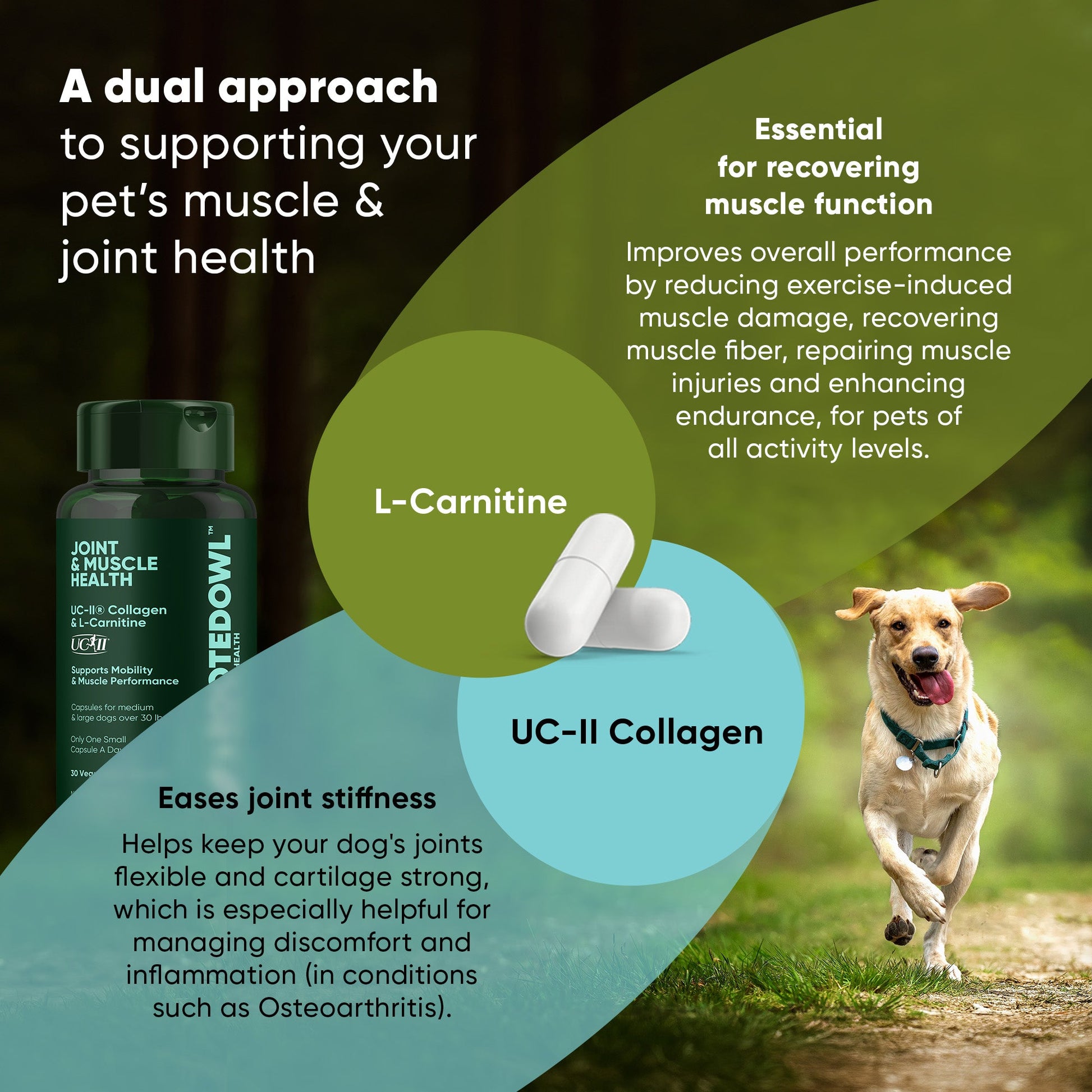 Joint & Muscle Health (Medium & Large Dogs) - Pup List