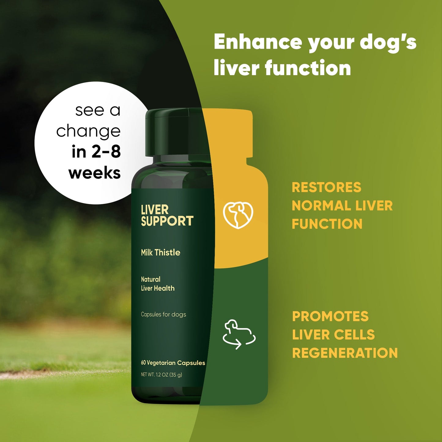 Liver Support - Pup List