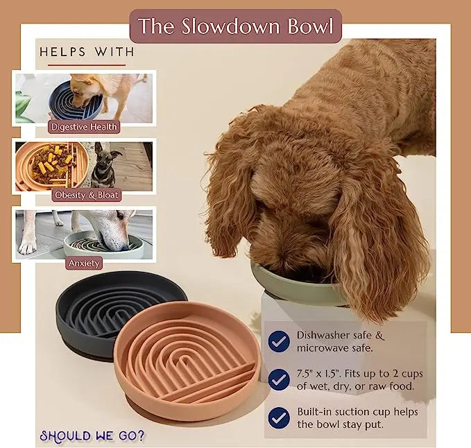 Slow Feeder Bowl/ Anti-Slip - Pup List