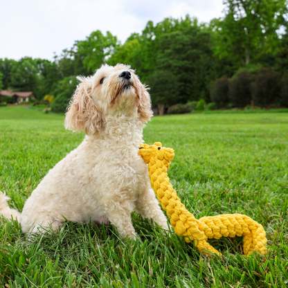 Joy the Giraffe Rope Toy