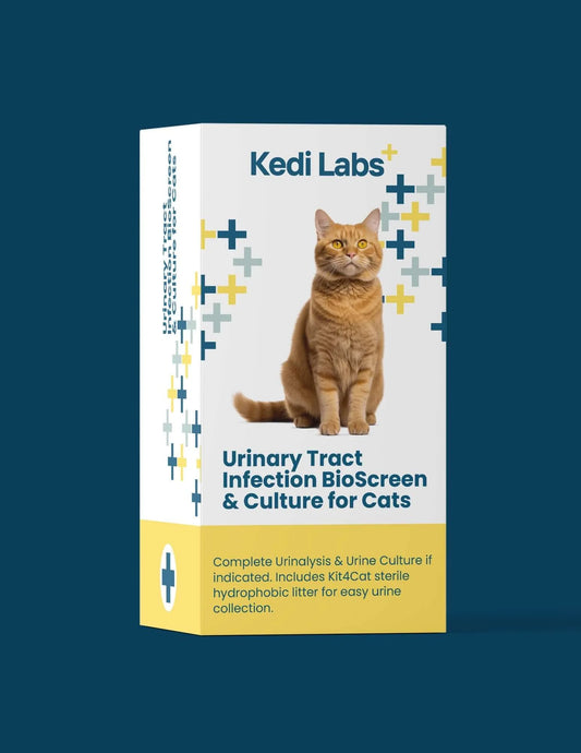 Urinary Tract Infection BioScreen & Culture for Cats