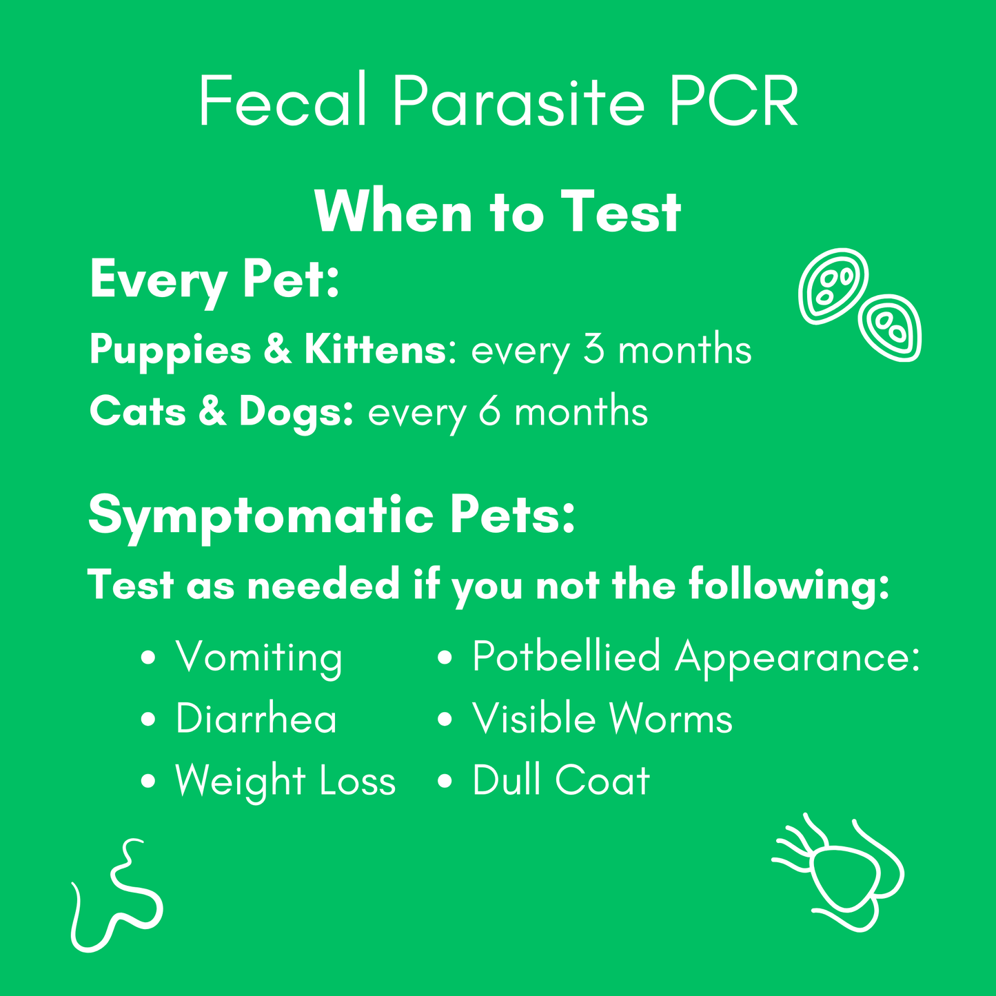 Fecal Parasite PCR Test (Comprehensive) for Dogs & Cats