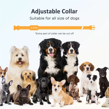 Patpet Premium Dog Collar