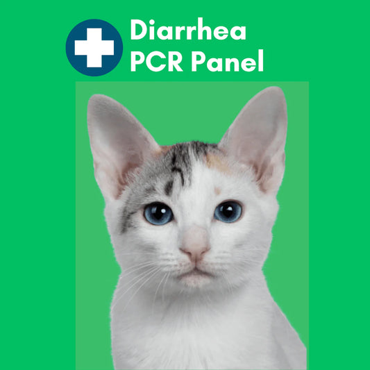 Diarrhea PCR Test for Cats