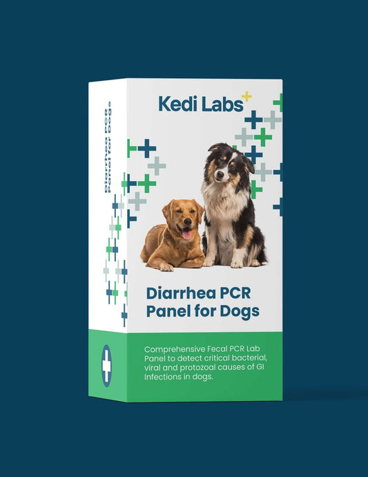 Diarrhea PCR Test for Dogs