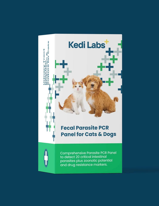 Fecal Parasite PCR Test (Comprehensive) for Dogs & Cats