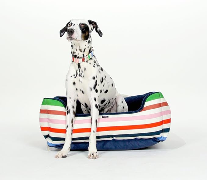 Kate Spade Adventure Stripe Bed