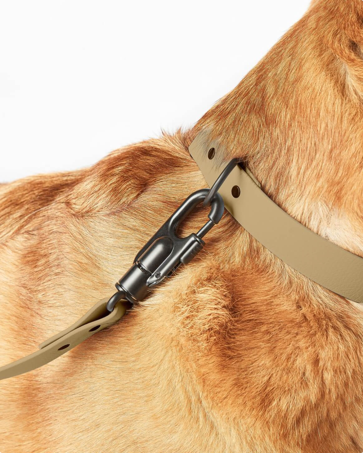 Signature Leash - Pup List