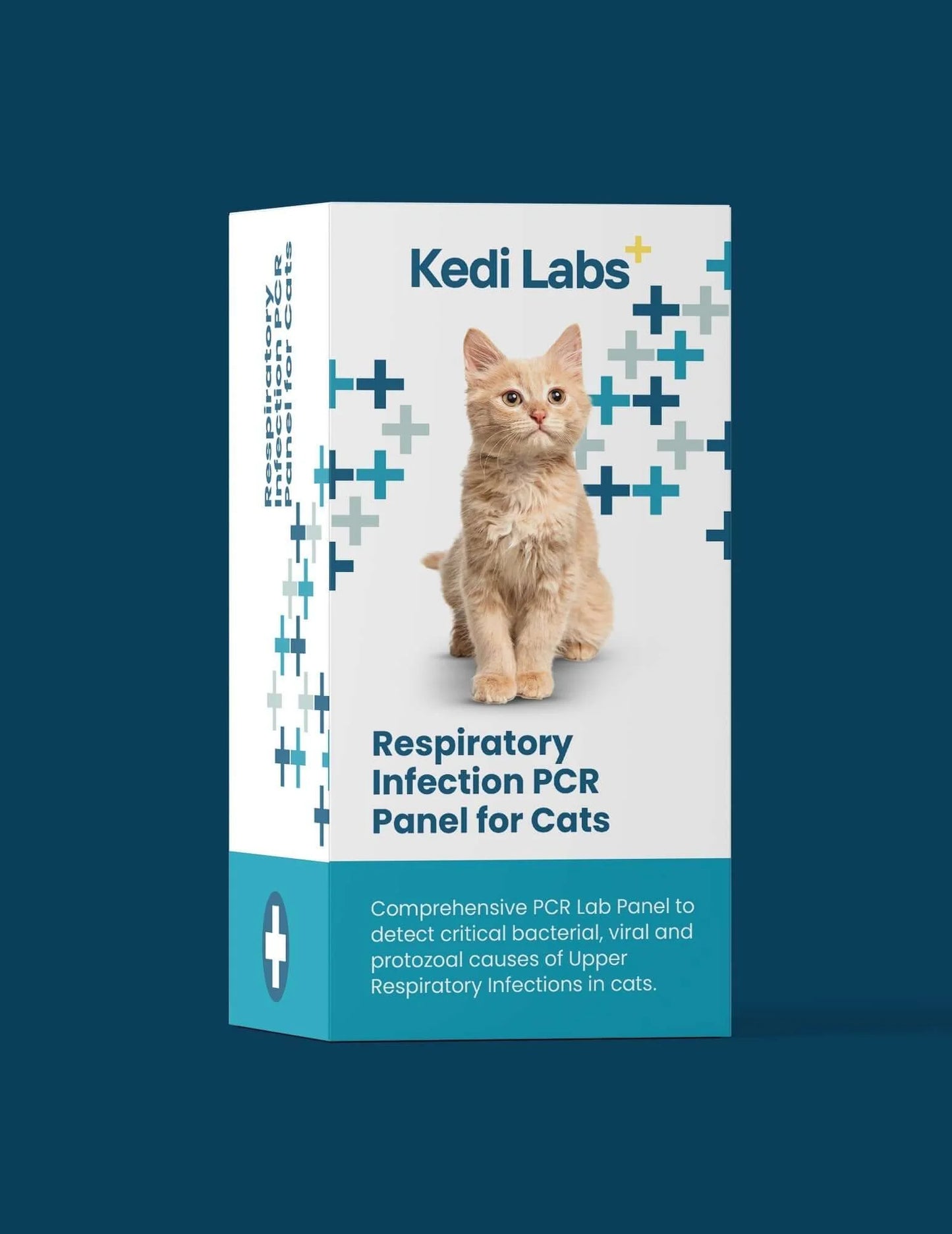 Respiratory Infection PCR Test for Cats