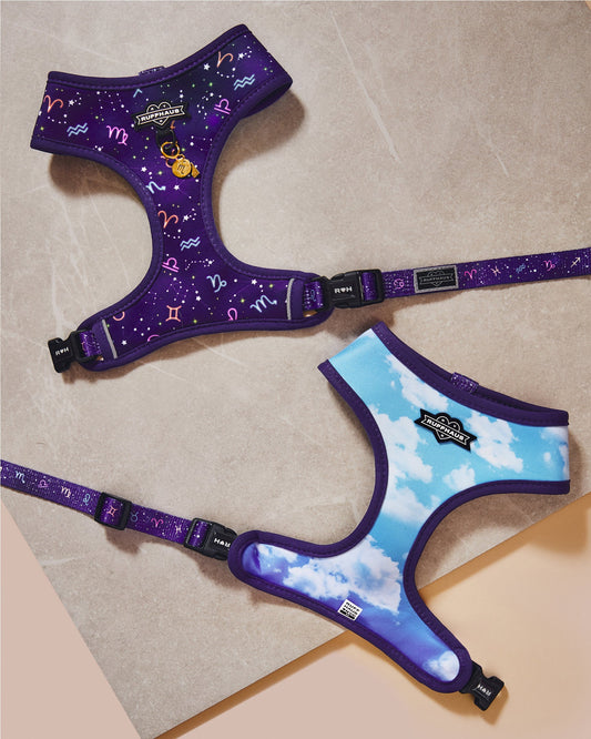 Zodiac Drip Reversible Harness